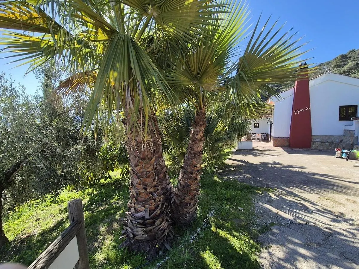 Agro Tourism House Gauguin With Pool Finca El Moralejo Tolox 0*,